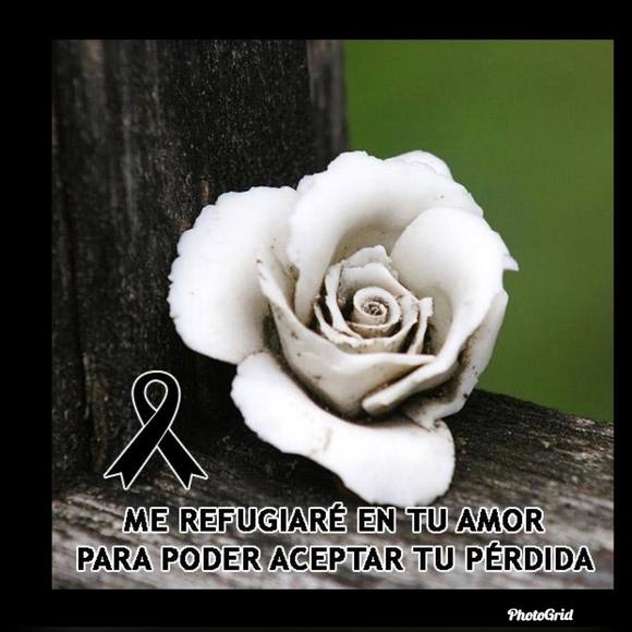 mjrcem